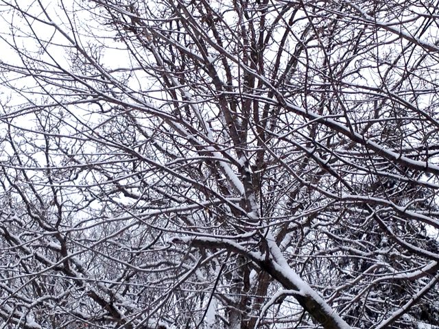 Snow