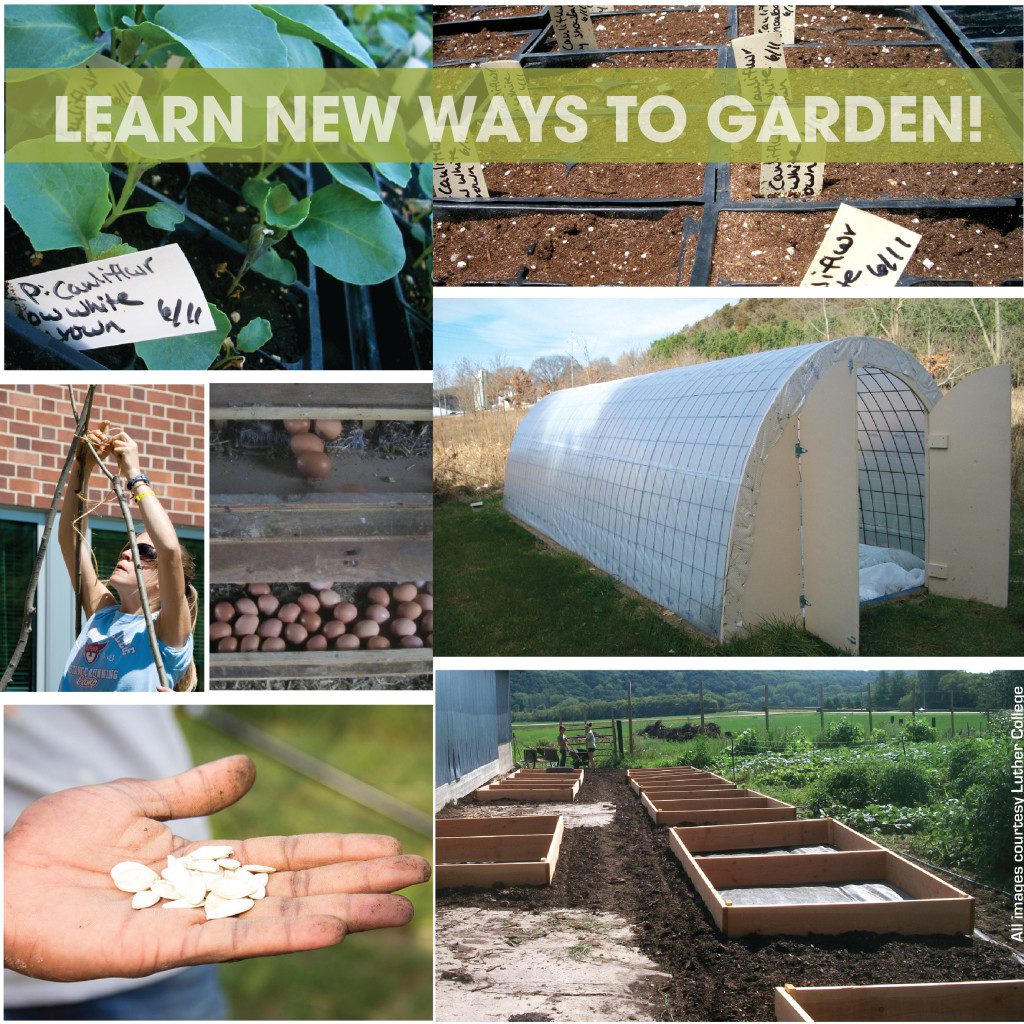 LutherGardening