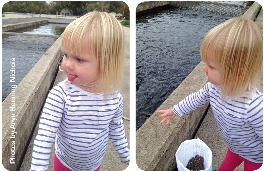FishHatchery