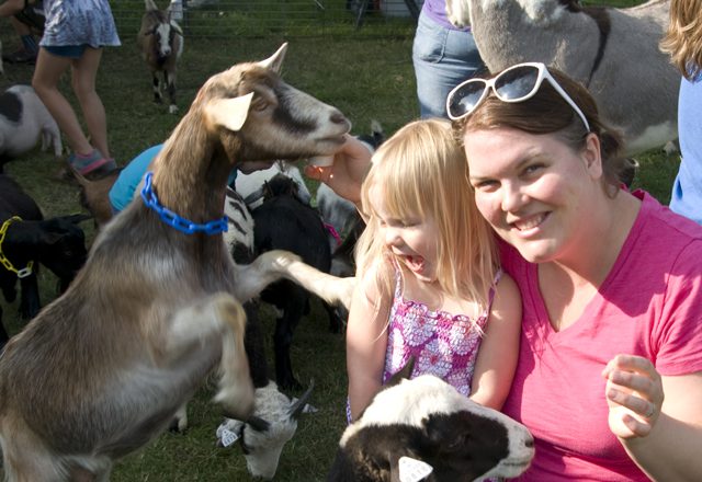 PettingZoo