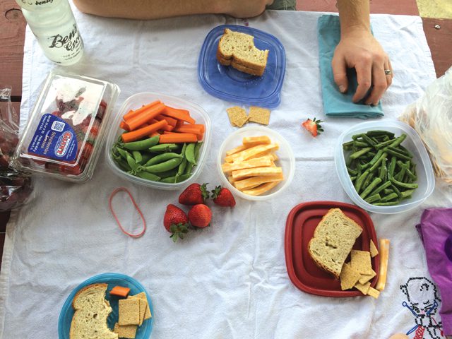 Picnic