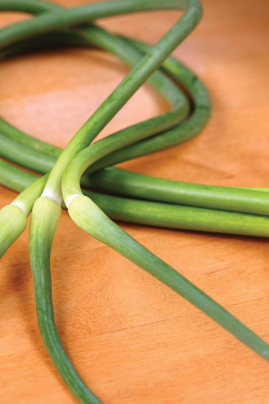 garlicscapes