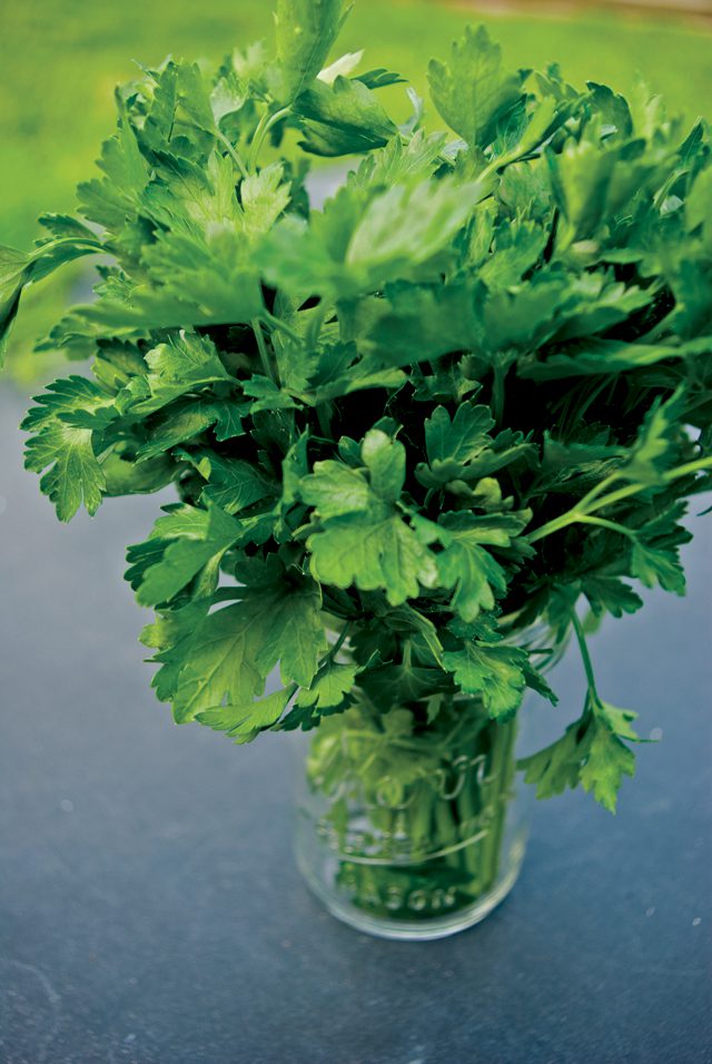 parsley