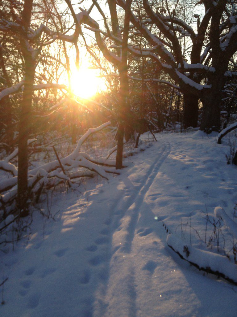 Ski_Sun