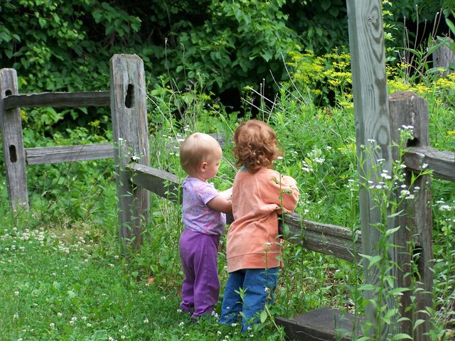 LM_KidsFence