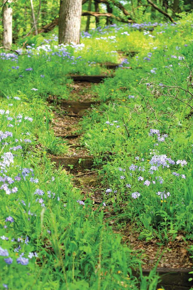 LM_May2015Trail