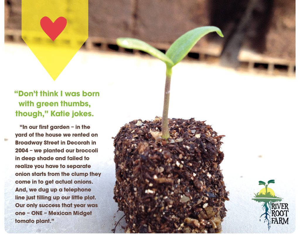 SeedlingQuote