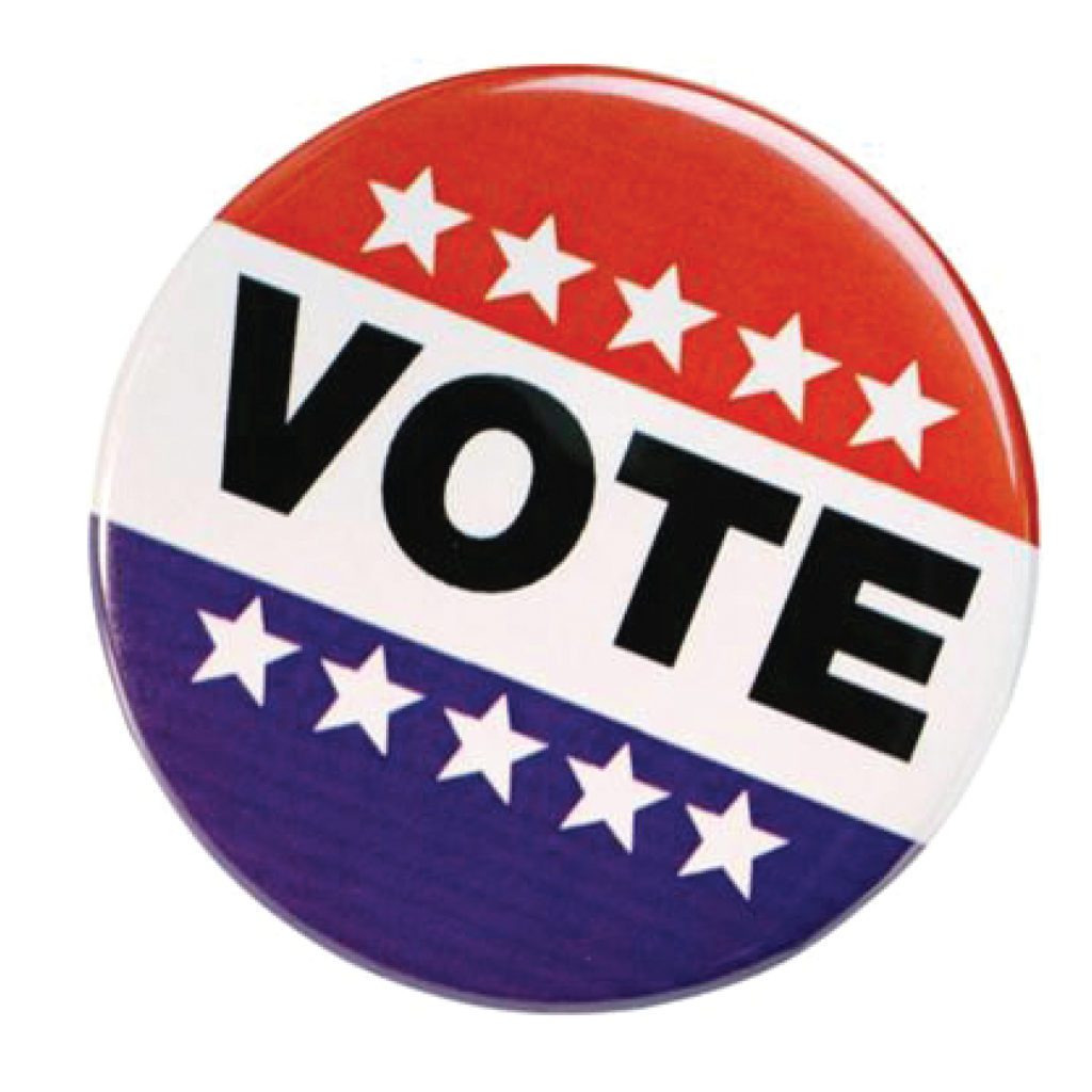 electing_votebutton