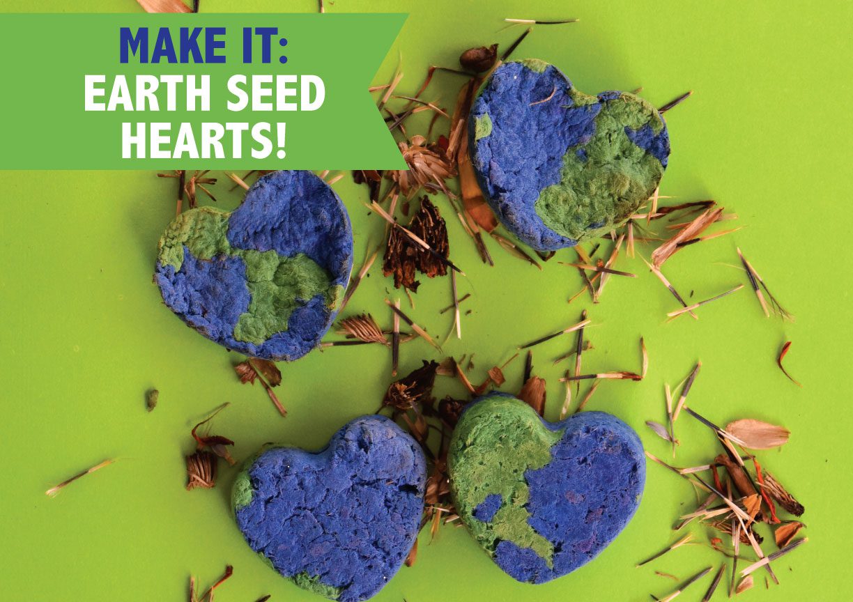 Earth Paper Seed Hearts