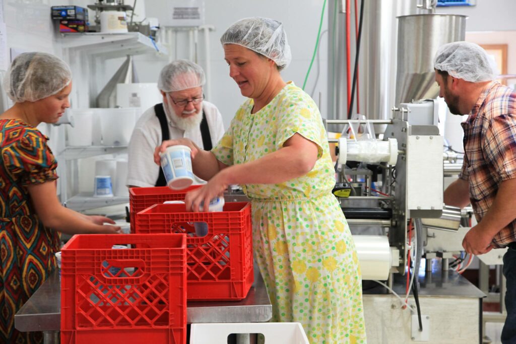 Country View Dairy yogurt-making