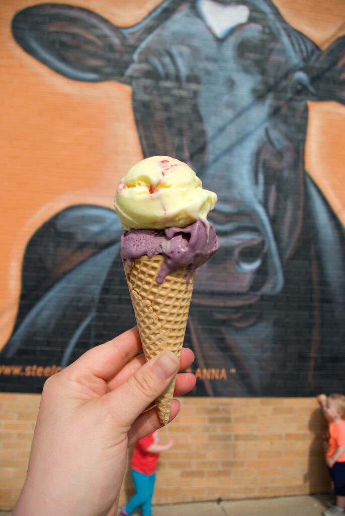 WW Homestead Dairy ice cream = summer to-do