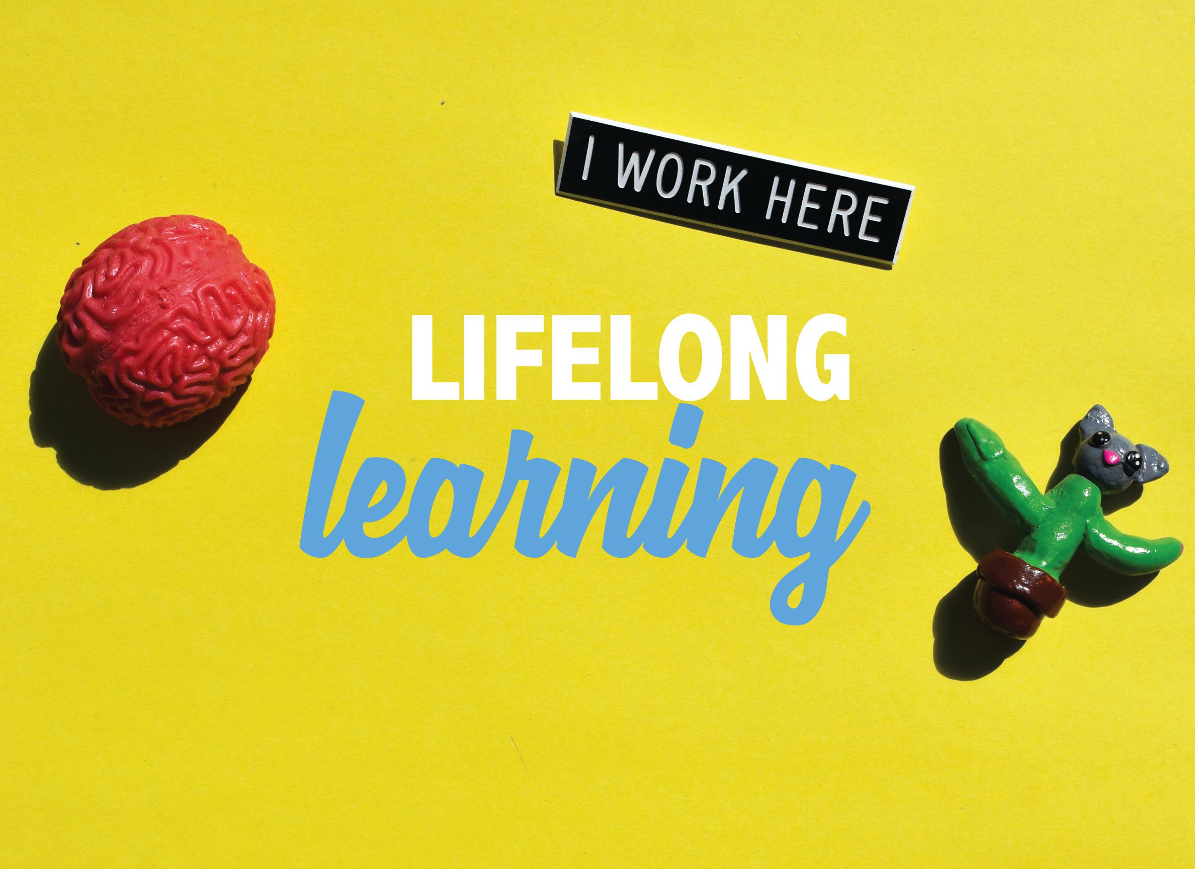 Lifelong Learning: Infographic