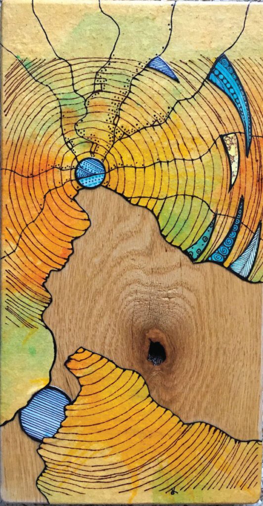 Tree Rings on Wood by Diane Knight