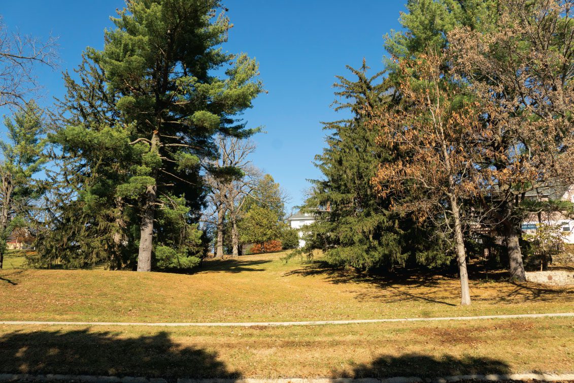 Sunnyside Hill is a popular sledding and playing destination for Leif Erickson neighborhood kids, including Joy Tlou
